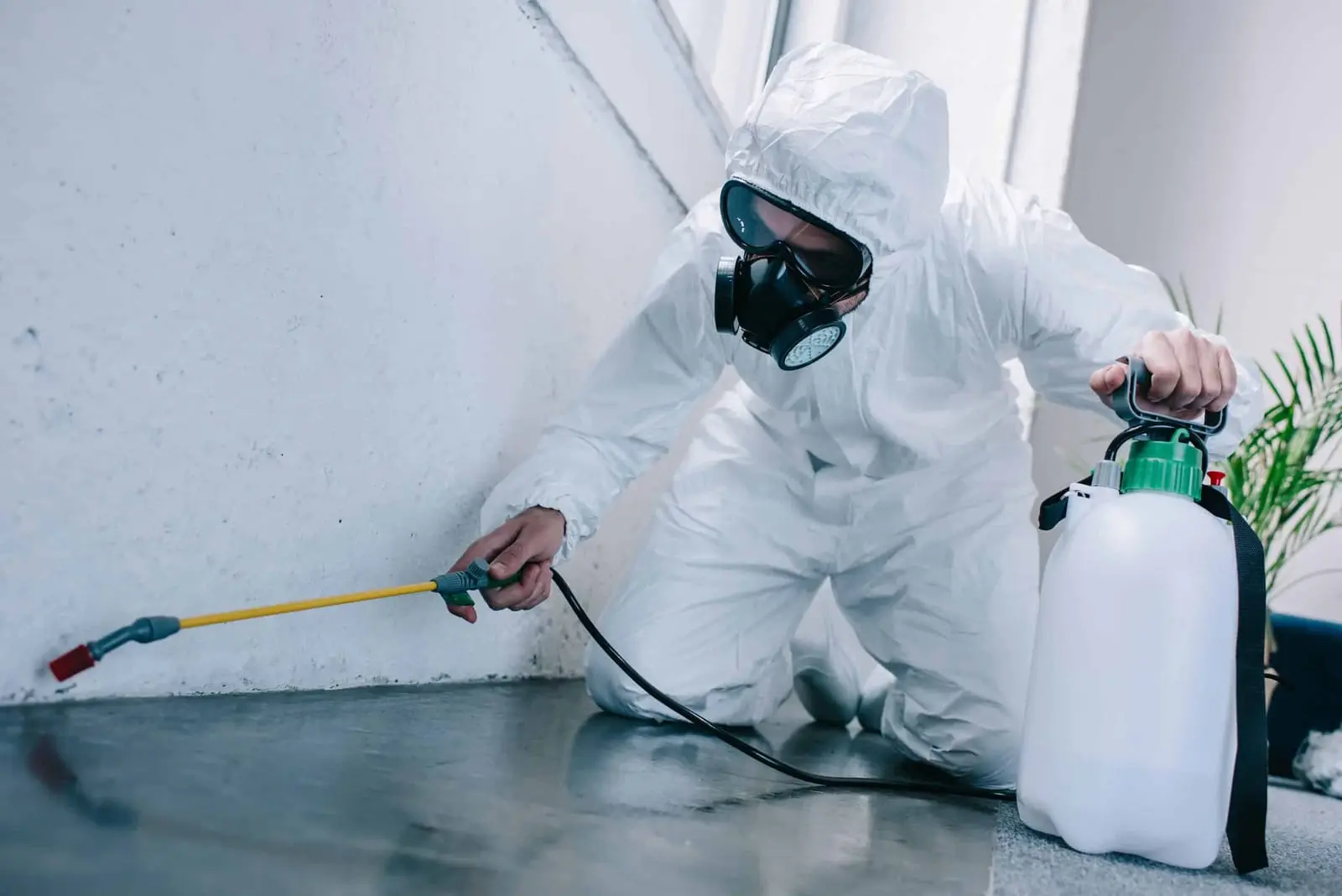 Applicateur en combinaison pulvérisant un traitement le long d'une plinthe, illustration Biohotte Nuisibles, Nanterre