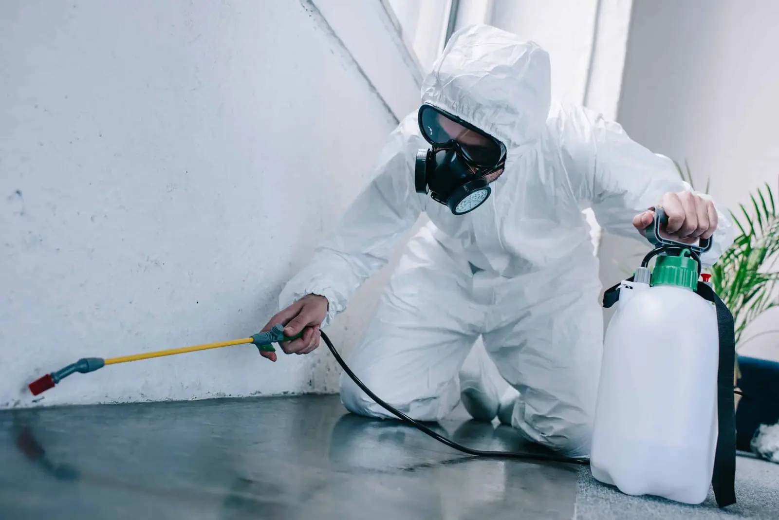 Applicateur en combinaison pulvérisant un traitement le long d'une plinthe, illustration Biohotte Nuisibles, Nanterre
