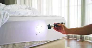 Punaises de lit en hôtel : obligations et traitement